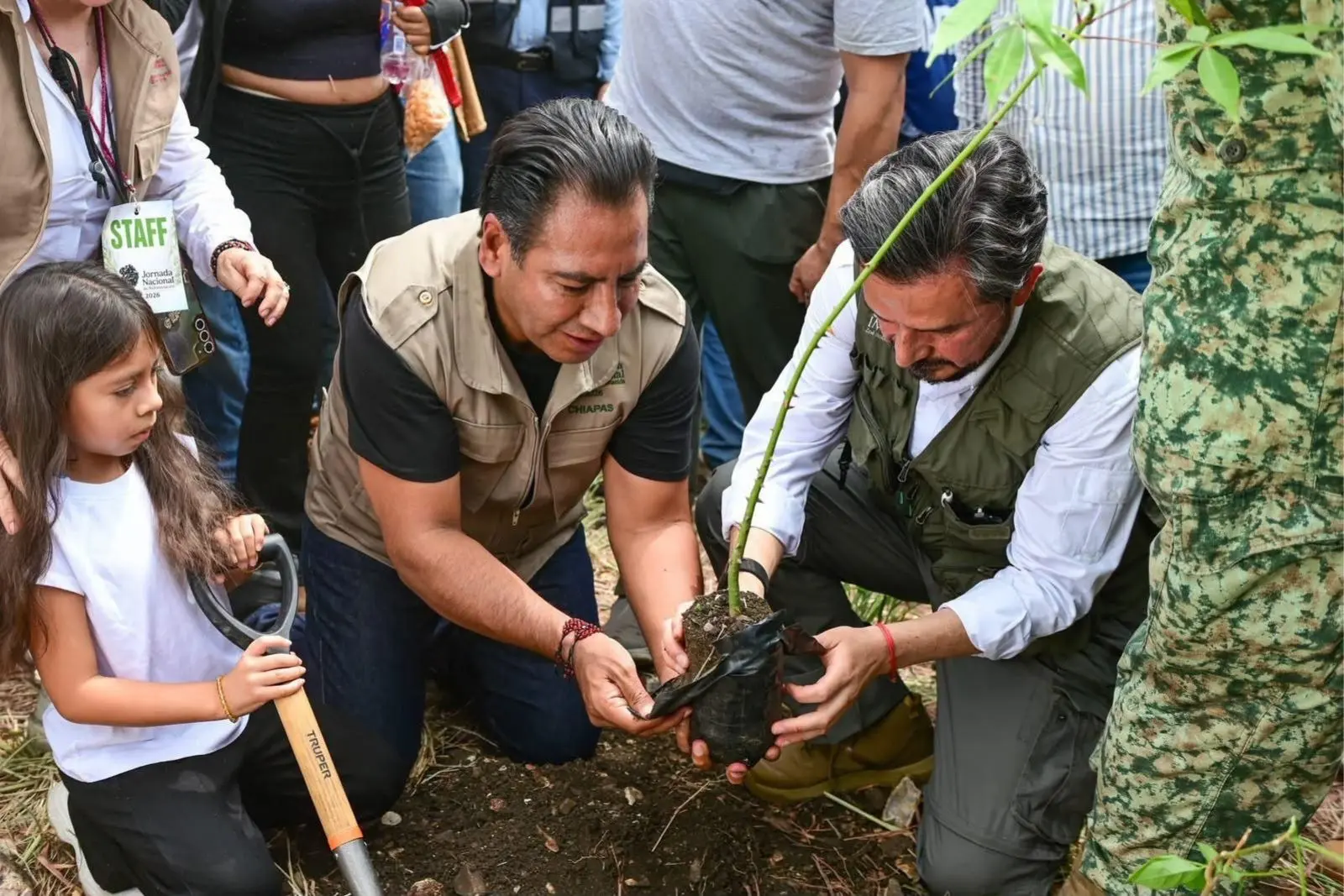 Chiapas se suman a Jornada Nacional de Reforestación con más de un millón de plantas