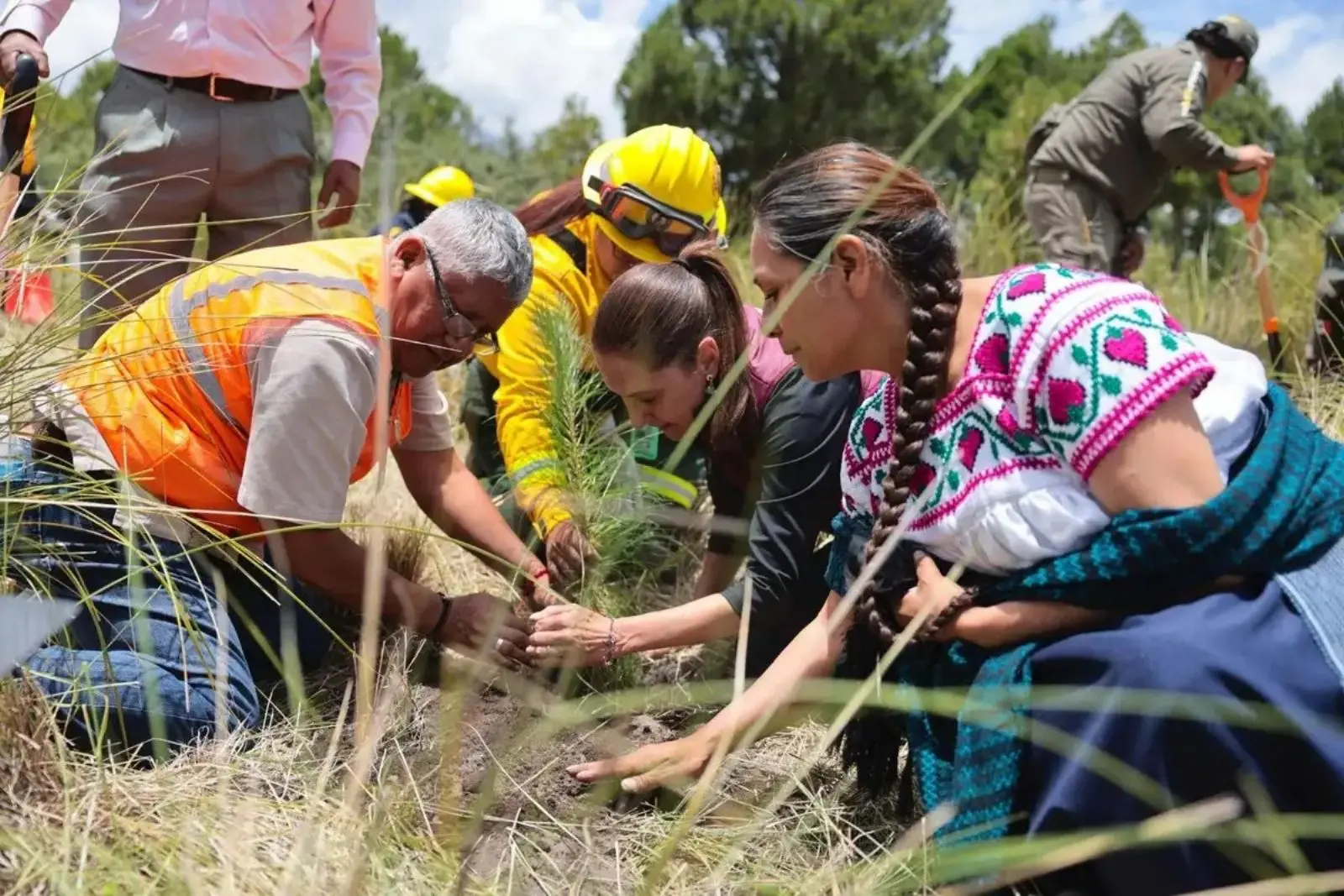 Presidenta arranca en Izta-Popo Jornada Nacional de Reforestación