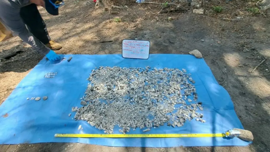 Collection of artifacts displayed on blue tarp.