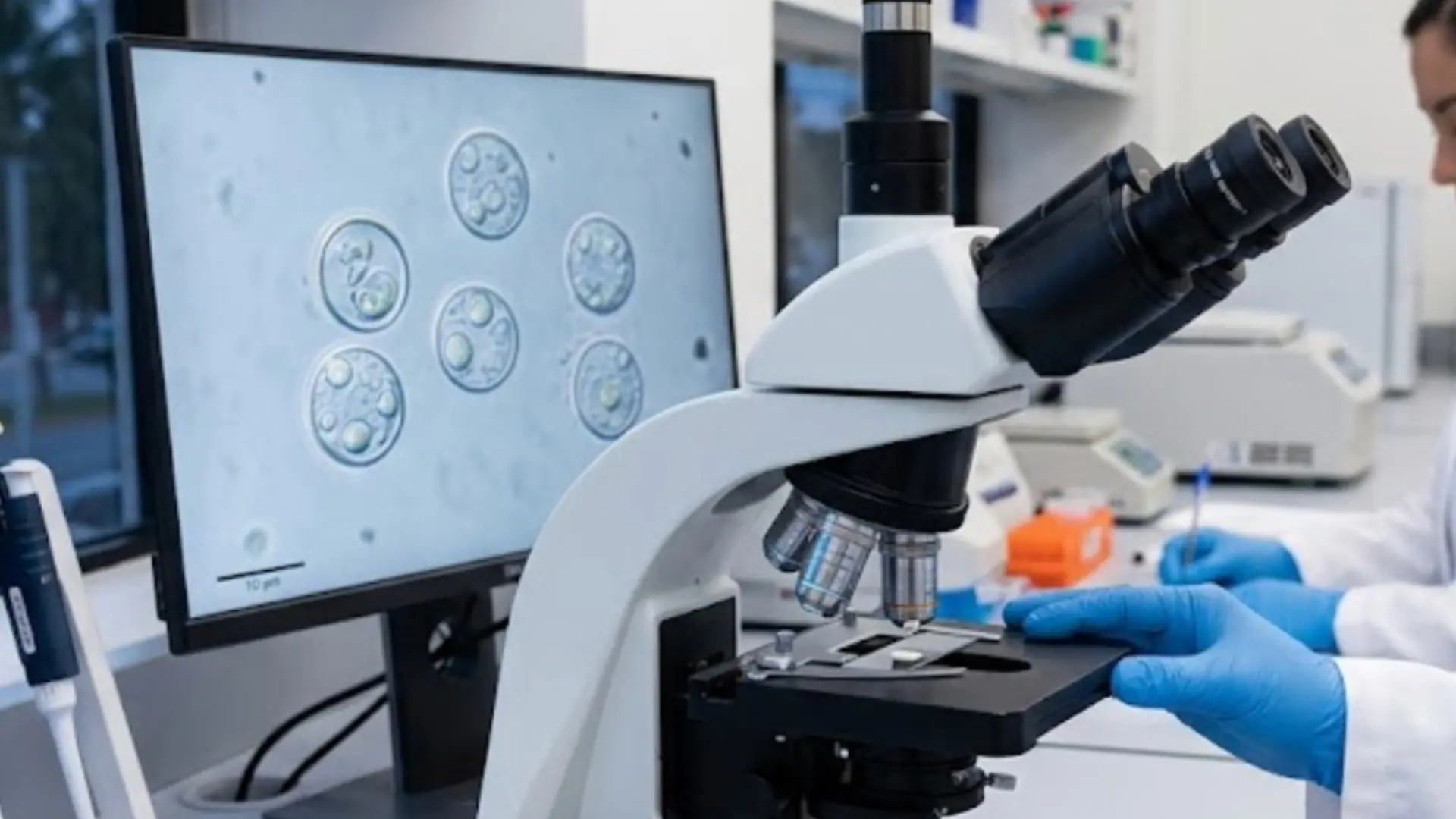 Investigadores de salud analizan muestras de Cyclospora cayetanensis con microscopio en un laboratorio clínico de Quintana Roo. Foto: IA