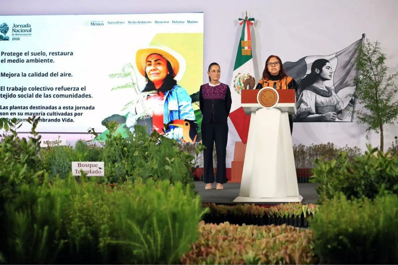 México prepara Jornada Nacional de Reforestación; buscará plantar mil 500 millones de árboles en 2030