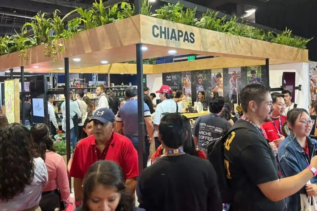 Chiapas lleva sabor de su café a Expo Café 2026; busca nuevos mercados