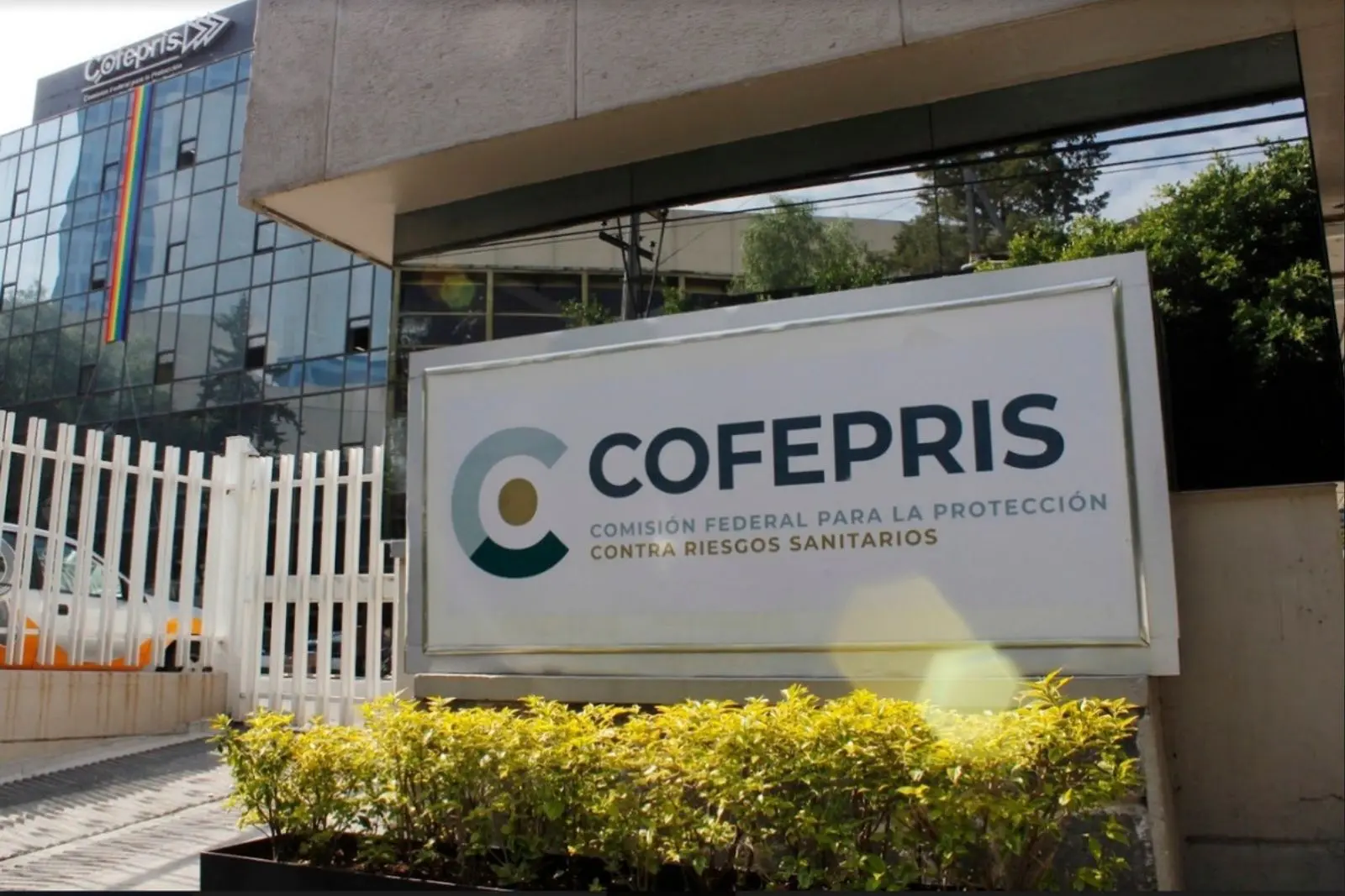 Cofepris alerta por medicamentos falsificados: Bedoyecta y Buscapina, entre productos señalados