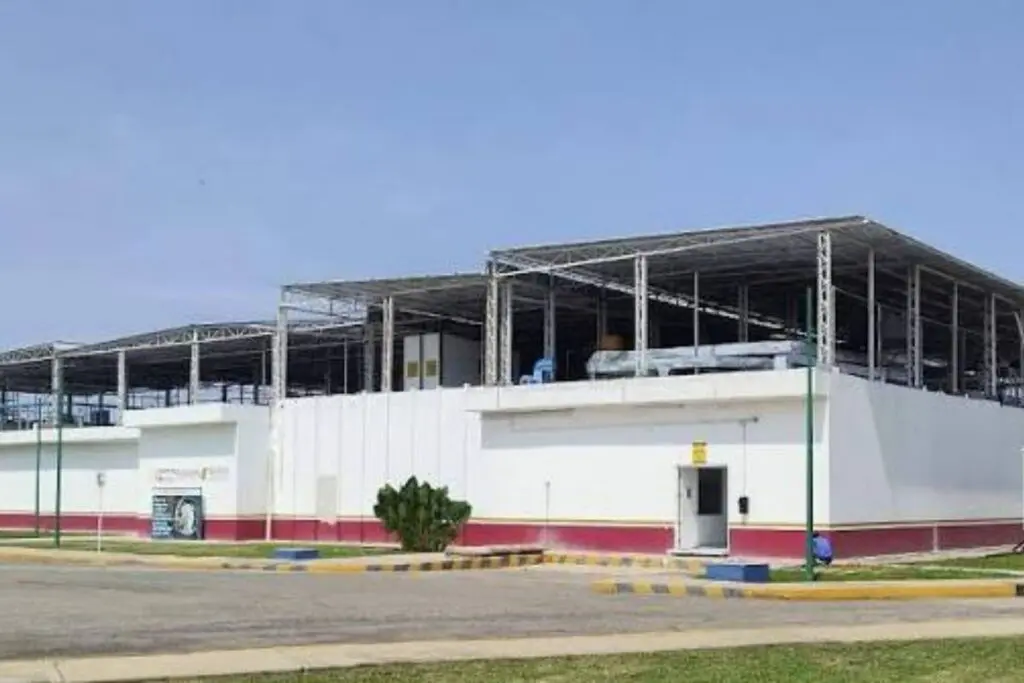 Planta de moscas en Chiapas alcanza producción de 35 millones de pupas contra gusano barrenador