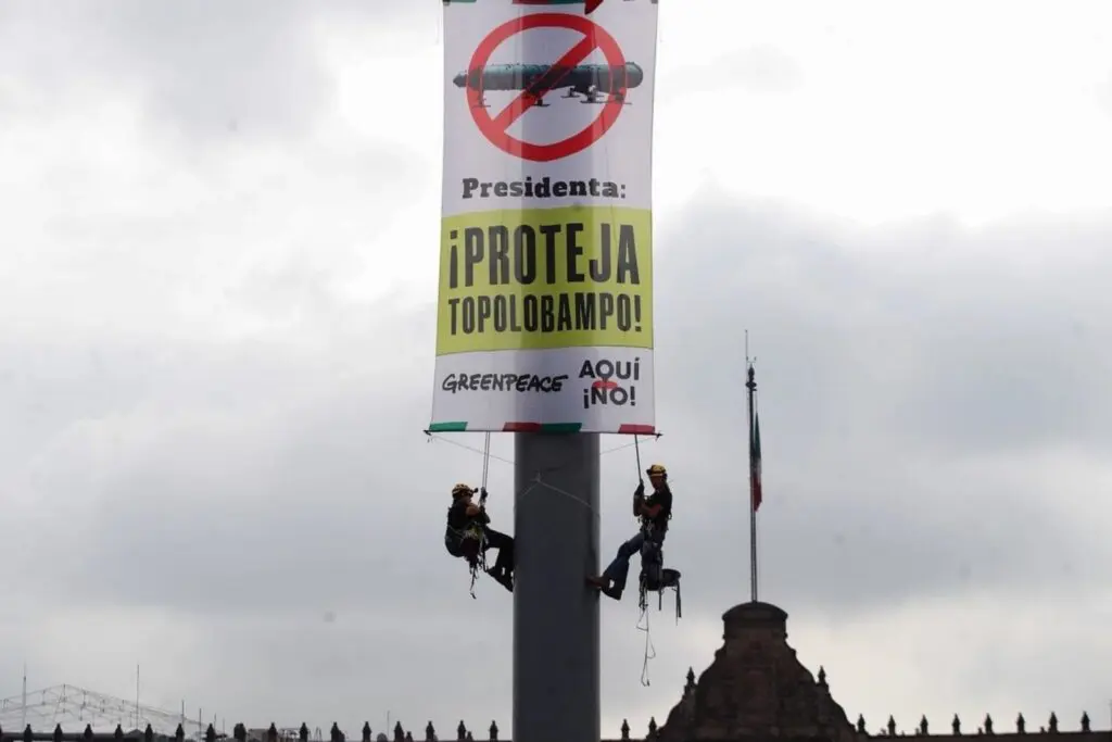 Greenpeace escala asta bandera del Zócalo y exige frenar planta de amoniaco en Topolobampo; Sheinbaum responde