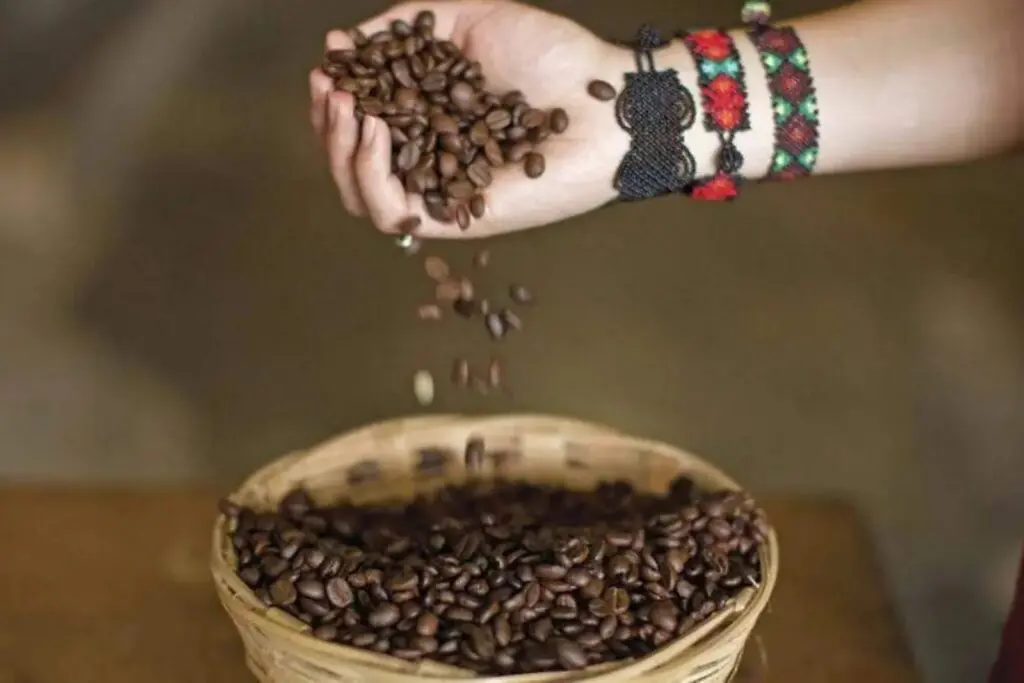 Tapachula celebrará Día Internacional del Café con degustaciones y conferencias