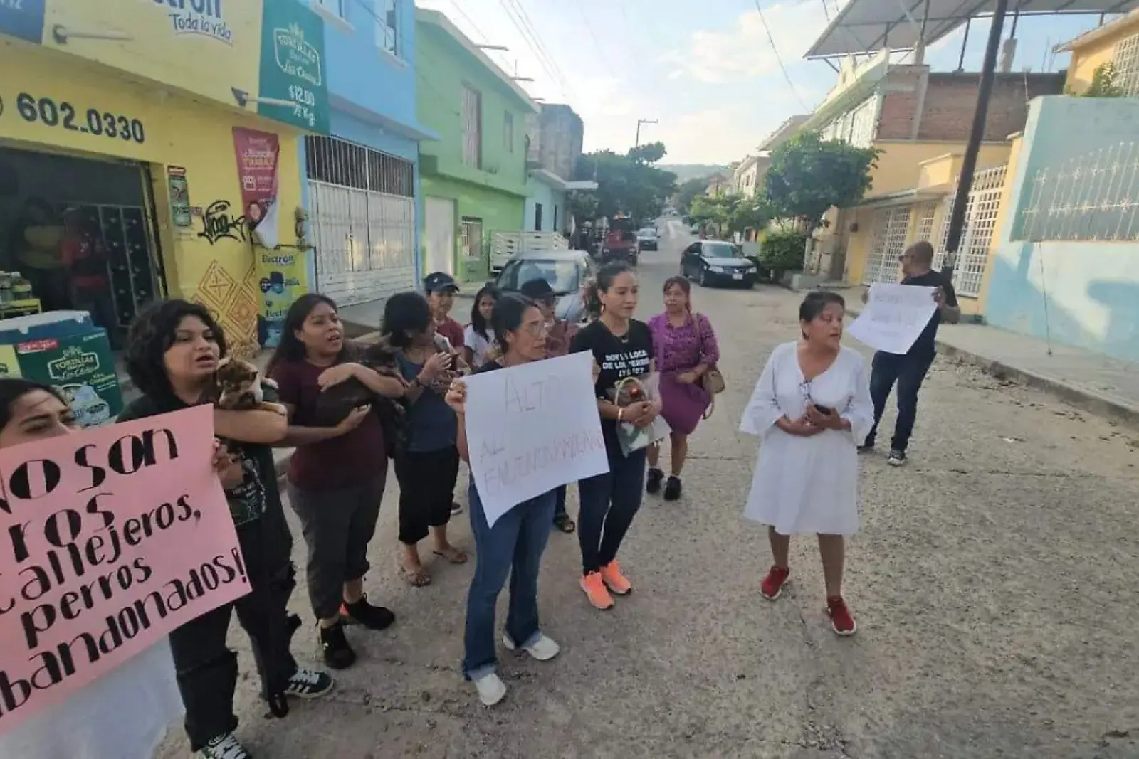 Colectivos y vecinos denuncian envenenamiento masivo de 150 perros y gatos en Tuxtla Gutiérrez