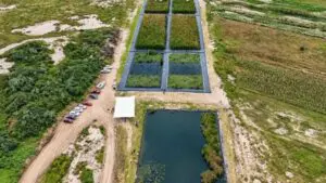Humedal Atenco para el tratamiento de aguas residuales y la recuperación hídrica del lago de Texcoco.