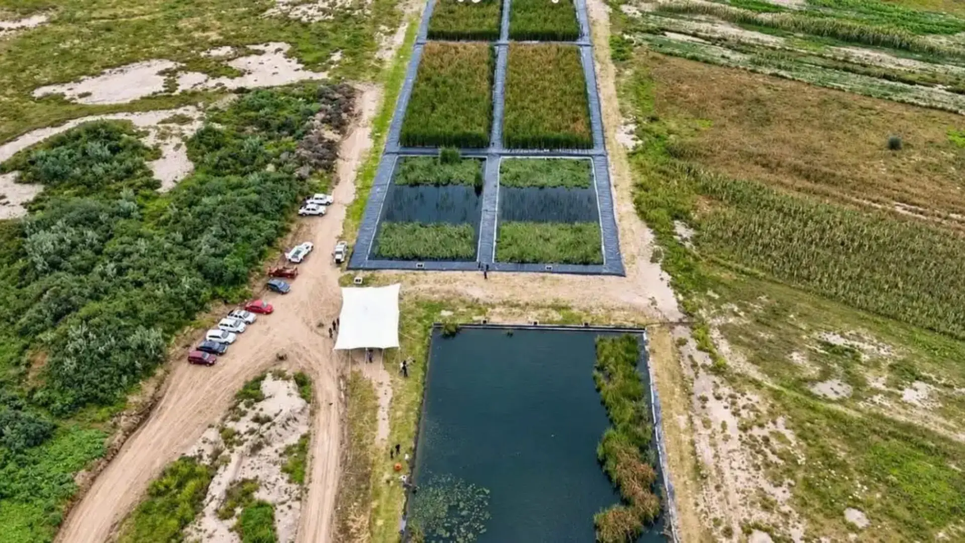 Humedal Atenco para el tratamiento de aguas residuales y la recuperación hídrica del lago de Texcoco.