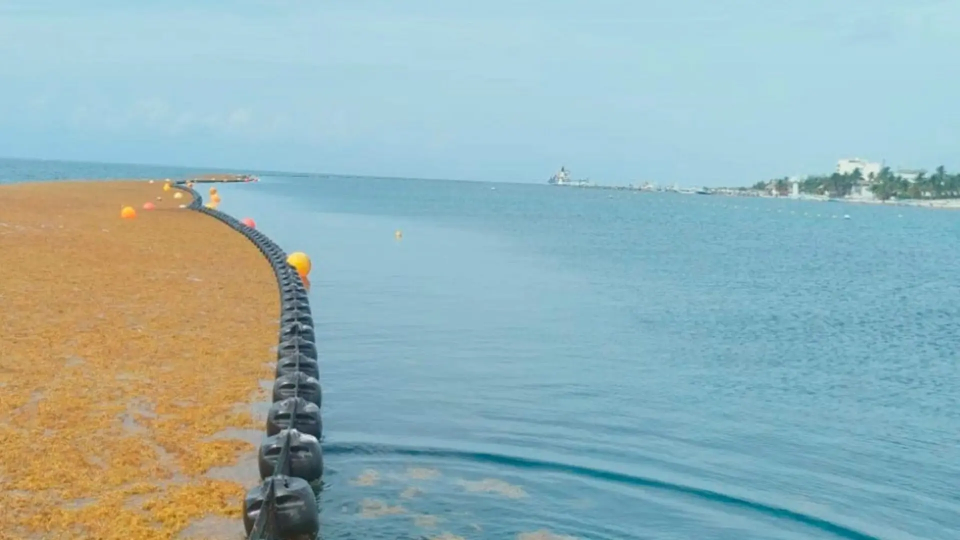 Autoridades de Quintana Roo muestran estrategias para atender el sargazo ante representantes de 30 países.