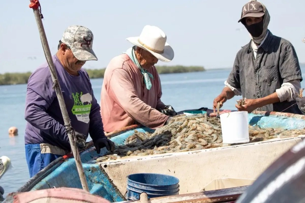 Pescadores ribereños trabajan en labores de captura en costas mexicanas.