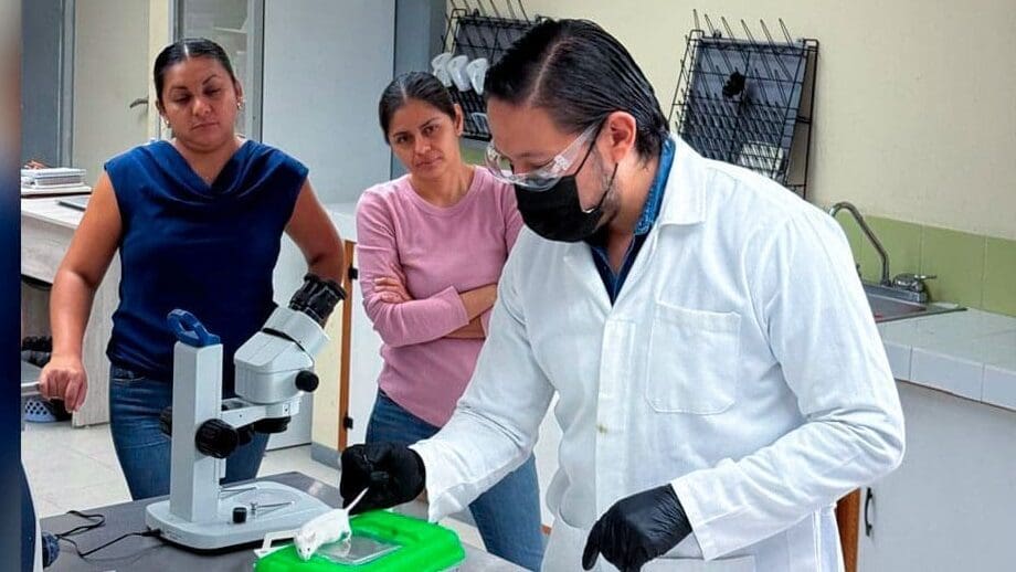 José Antonio De Fuentes Vicente, investigador de Unicach, ingresa a la AMC