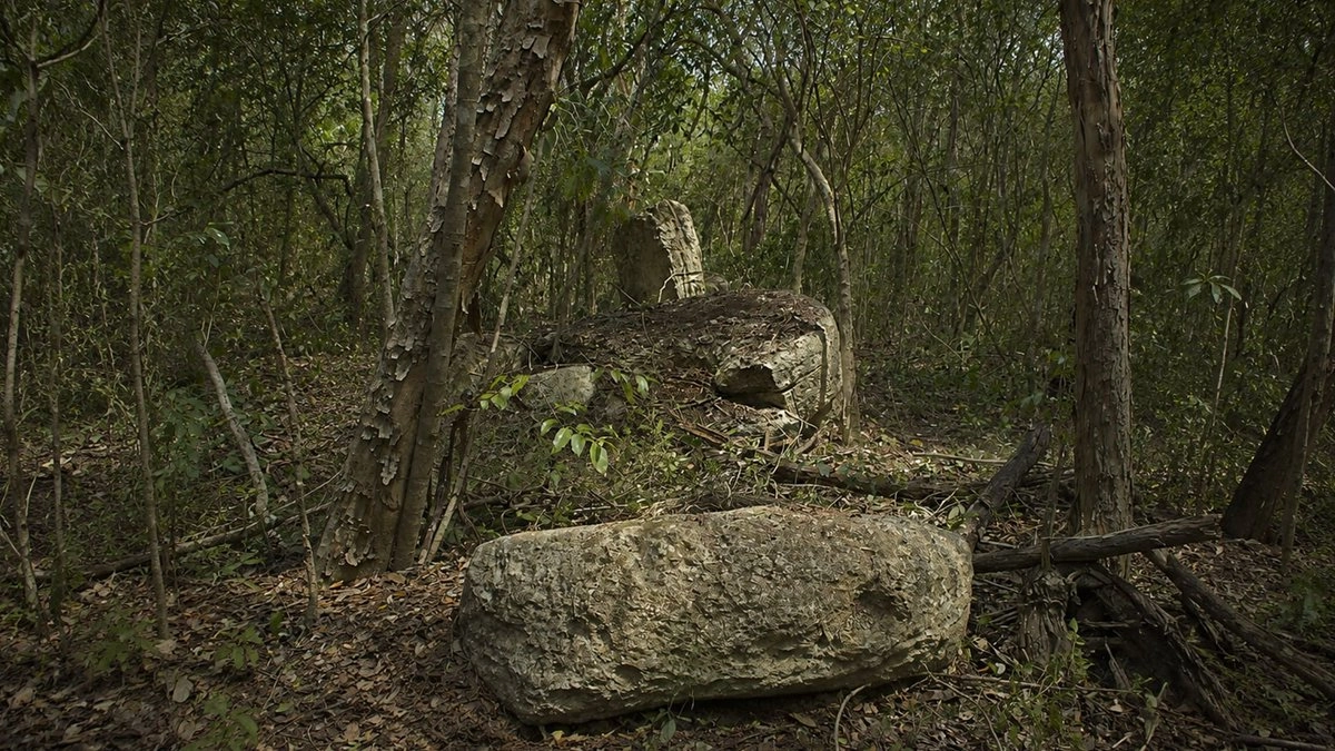 Ciudad maya Minanbé descubierta en la Reserva de la Biosfera de Calakmul en Campeche durante trabajos arqueológicos